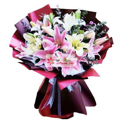 大同8支百合花，天天开心